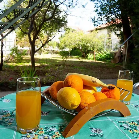 Garden House דירה ארגוסטולי
